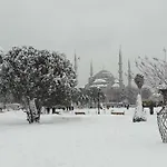 Venue Old