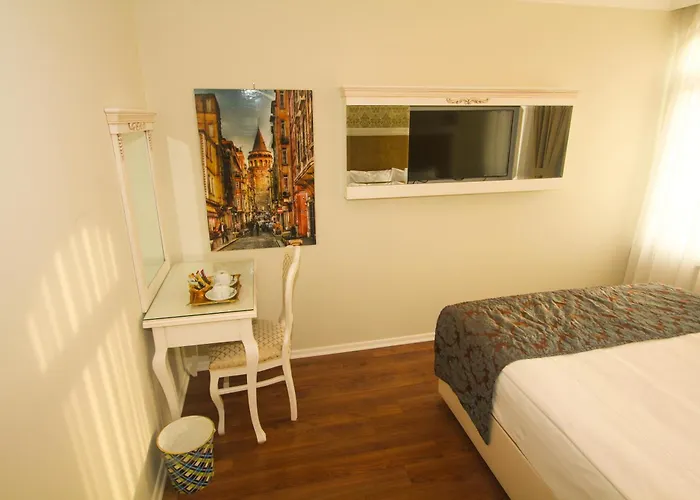 ホテル Venue Old イスタンブール